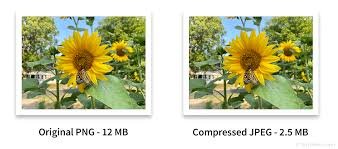 Free Online Image Compression Tool to Reduce File Size